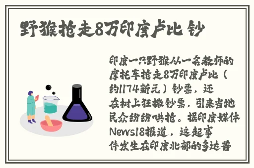 国产区精品福利在线社区